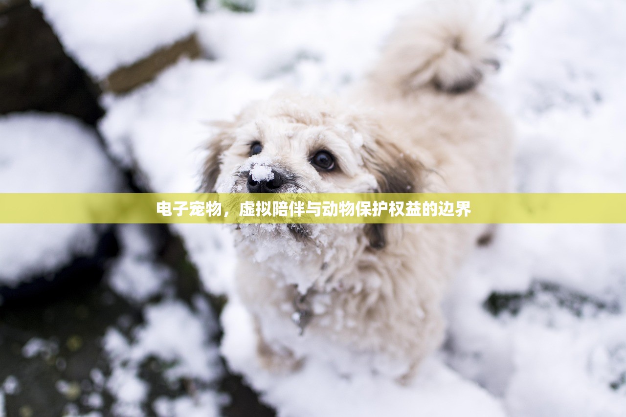 电子宠物，虚拟陪伴与动物保护权益的边界