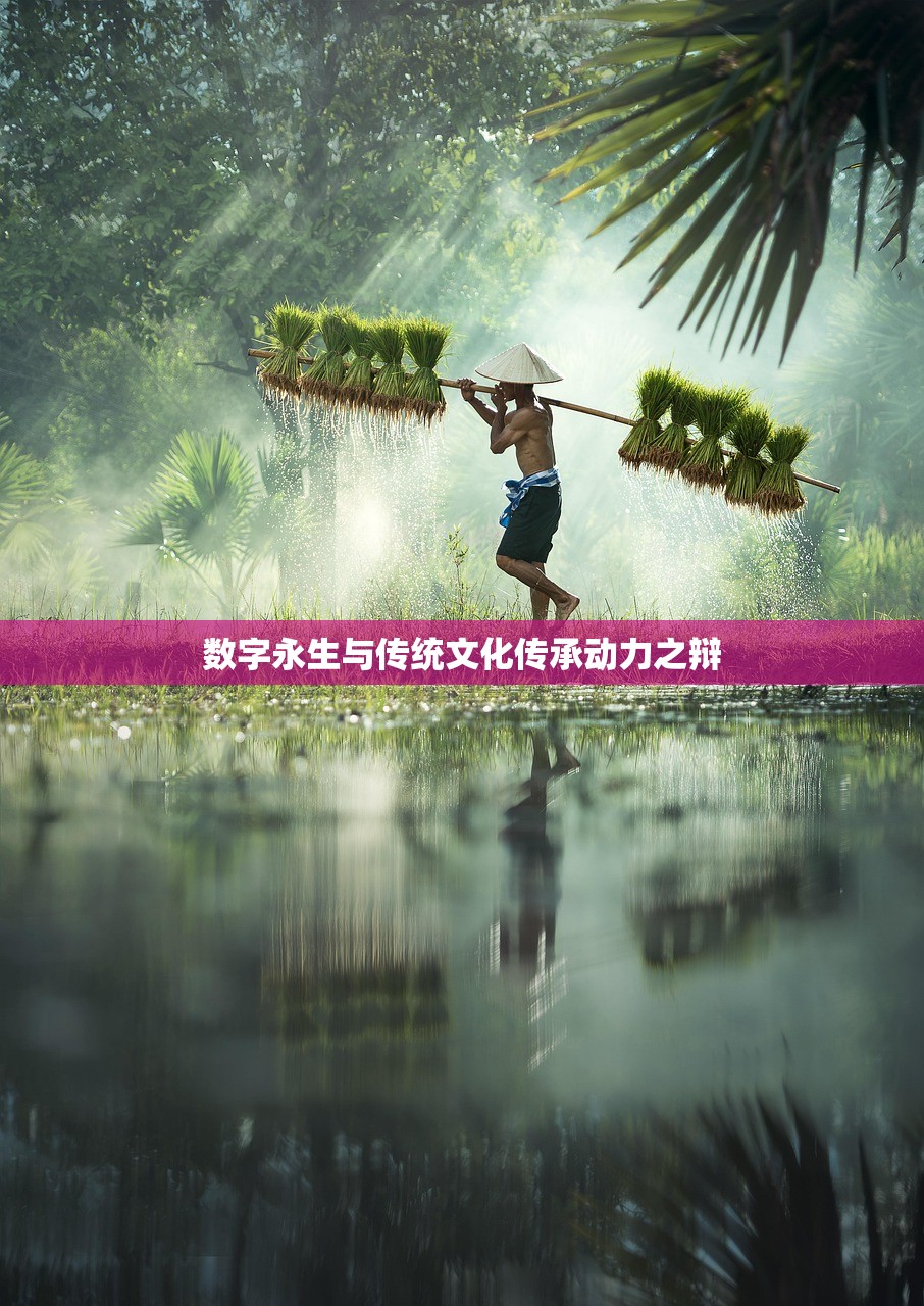 云相册自动归类功能误判亲密关系是否导致家庭矛盾？
