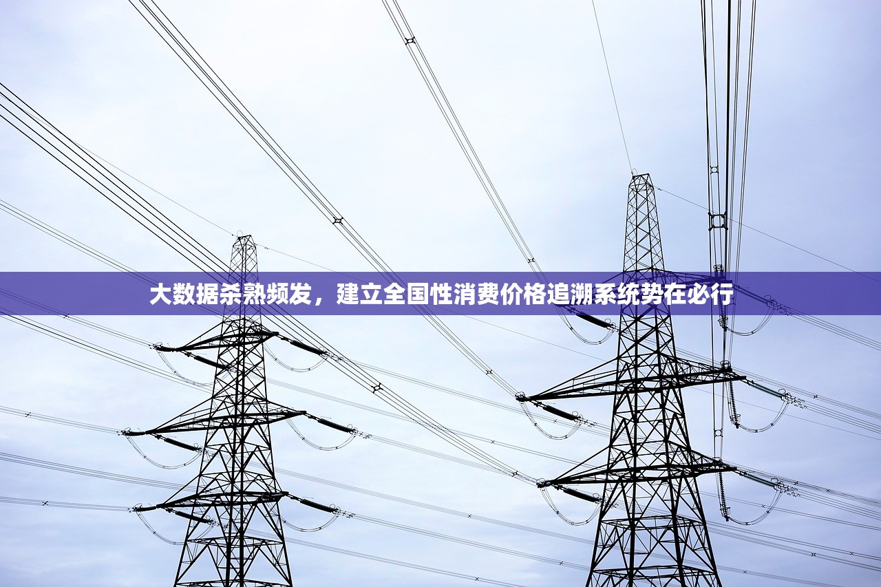 大数据杀熟频发，建立全国性消费价格追溯系统势在必行