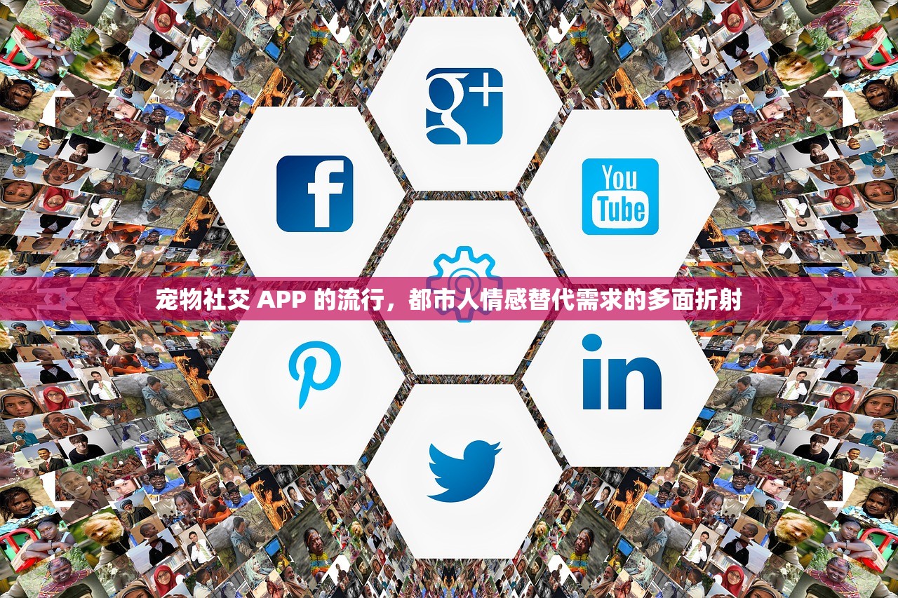 宠物社交 APP 的流行，都市人情感替代需求的多面折射